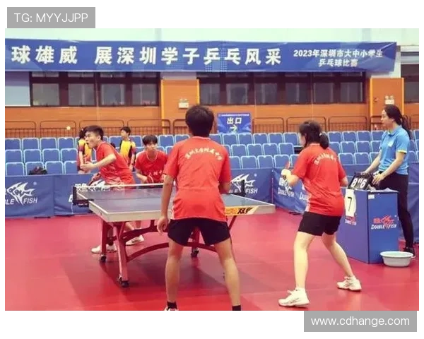 聚焦乒乓球：深圳乒乓球队的技术话题