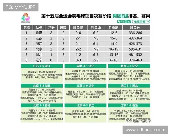 杭州羽毛球队挑战赛表现分析与状态评估全面解读